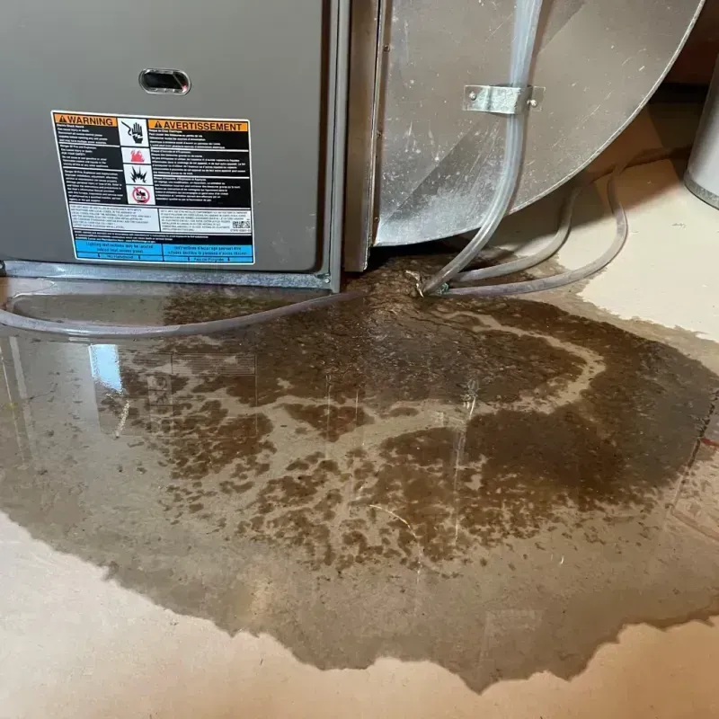 Appliance Leak Cleanup in Sheffield, IA